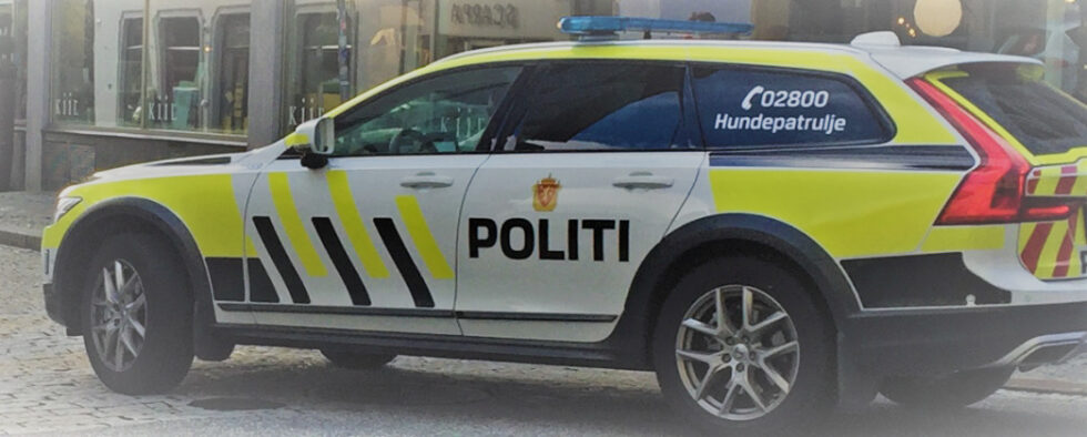 Romerike og Glåmdal tingrett har dømt en kongsvingerkvinne etter at hun i mars ble tatt av politiet for fyllekjøring.