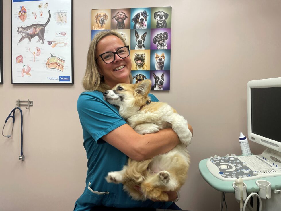 Veterinær og eier av Glåmdal Dyreklinikk, Therese Haagensen, skal ta godt vare på hunden Petra i sommervarmen. Hun minner også andre på å ta en ekstra sjekk på hunden sin.