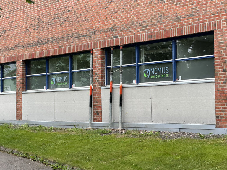 Fasaden på svømmehallen blir støtte opp av tre søyler. Det liker en sentral politiker svært dårlig.