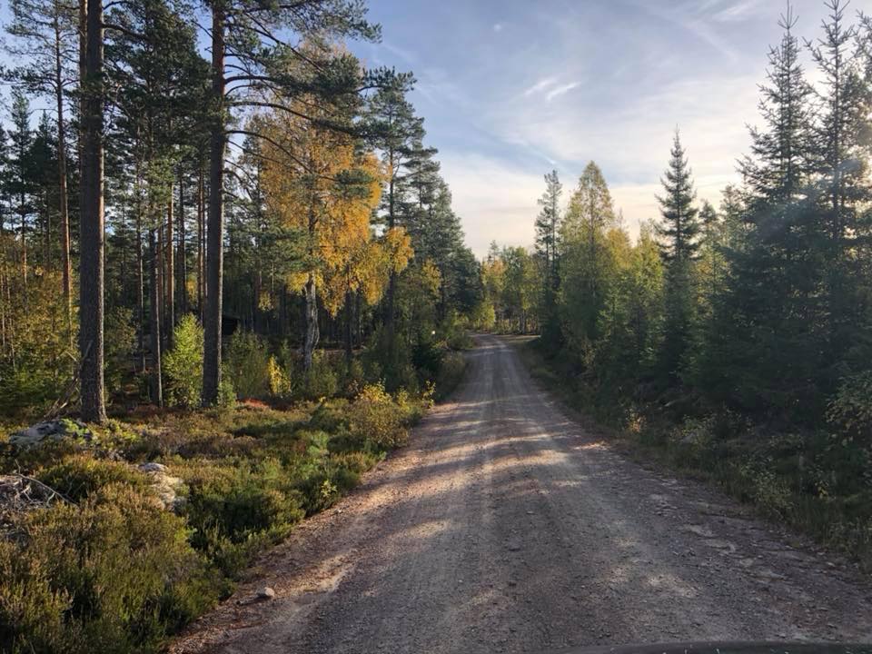 Impregnert trelast som Kongsvinger Jeger og fiskeforening hadde lagret på Varaldskogen, har i løpet av uka blitt stjålet.