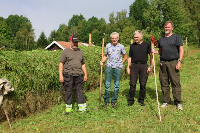 Rolf Hammeren (f.v.) , Odd Kinnsbekken, John Larsen og Odd Melsæter var noen av de som stilte opp på slåttonn på Orala.