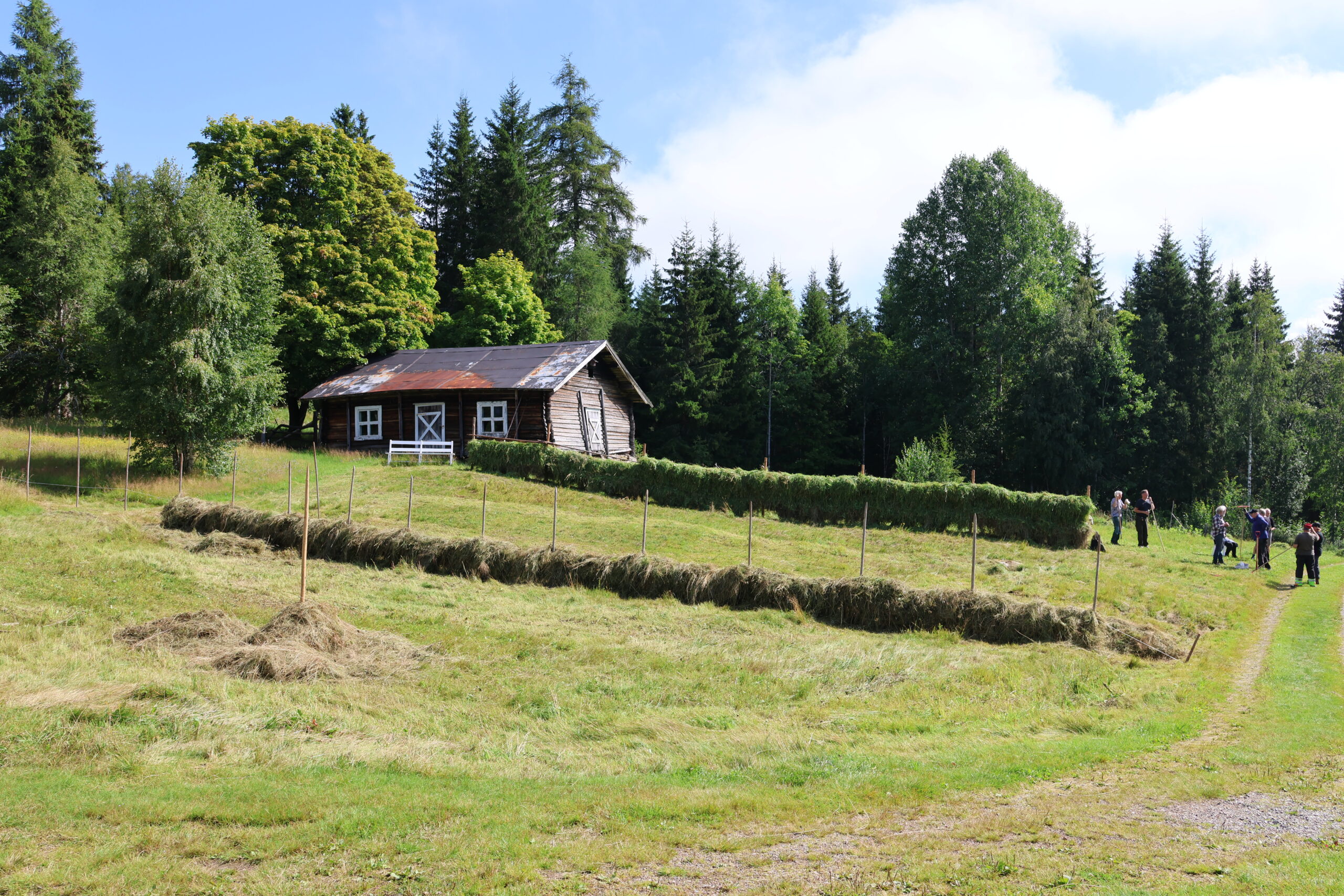 Hesjene ble raskt fylt opp med det gresset som dugnadsgjengen slo.