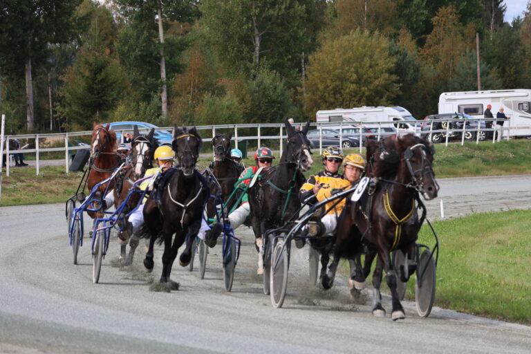 Kenneth Brenden fra Magnor med hest nummer 3 Fuskerud Prinsen vant Ragnvald Humborstads æresløp på Kongsvinger travbane lørdag.
