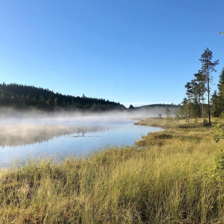 Den siste uken har flere på Østlandet opplevd nattefrost, noe som også kan skje den kommende uken.