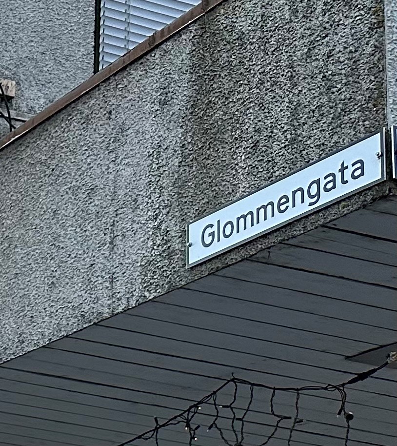 Politiet står på sitt, mens bilføreren nekter å vedta forelegg for mobilbruk. Nå ender saken i retten.