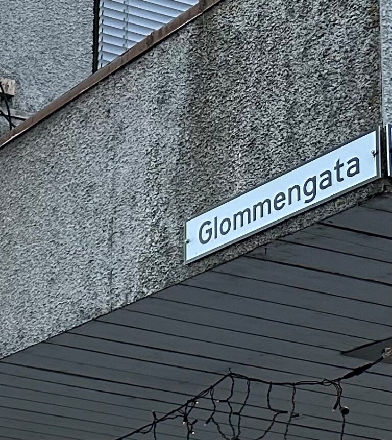 På vei hjem fra handletur i Sverige ble odalskvinnen stoppet i Glommengata. Analyseresultatet av en blodprøve tatt like etterpå, bekrefter at hun kjørte i amfetamin-rus