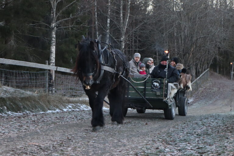 Hest og kjerre er alltid populært på Klokkertunets åpne dager.
