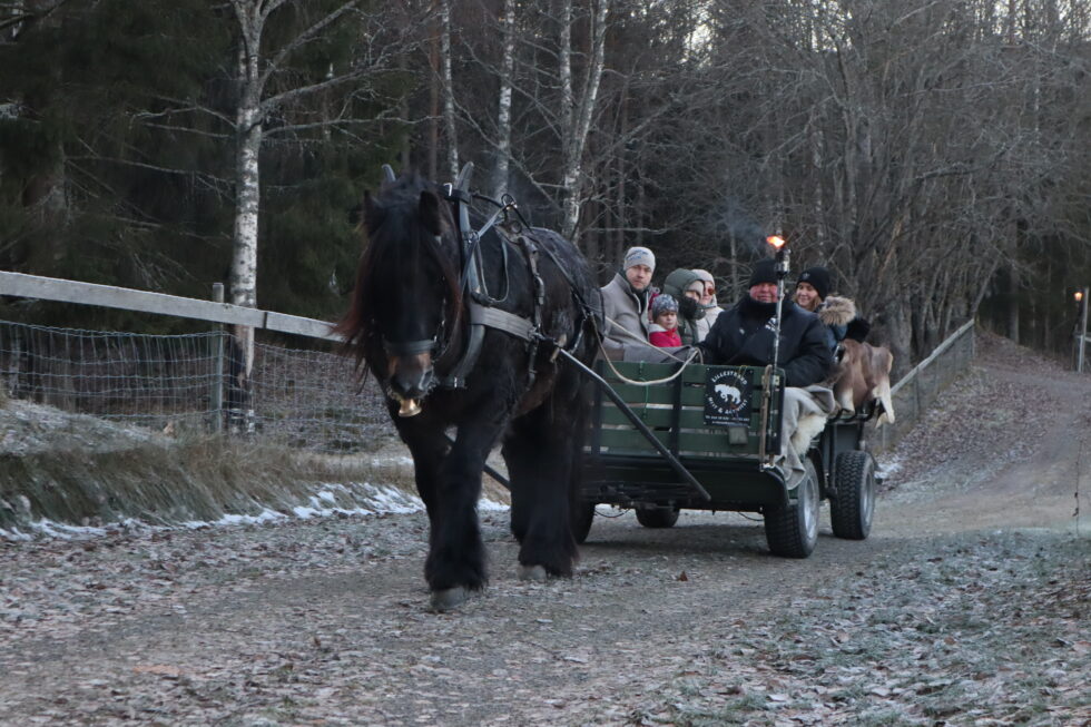Hest og kjerre er alltid populært på Klokkertunets åpne dager.