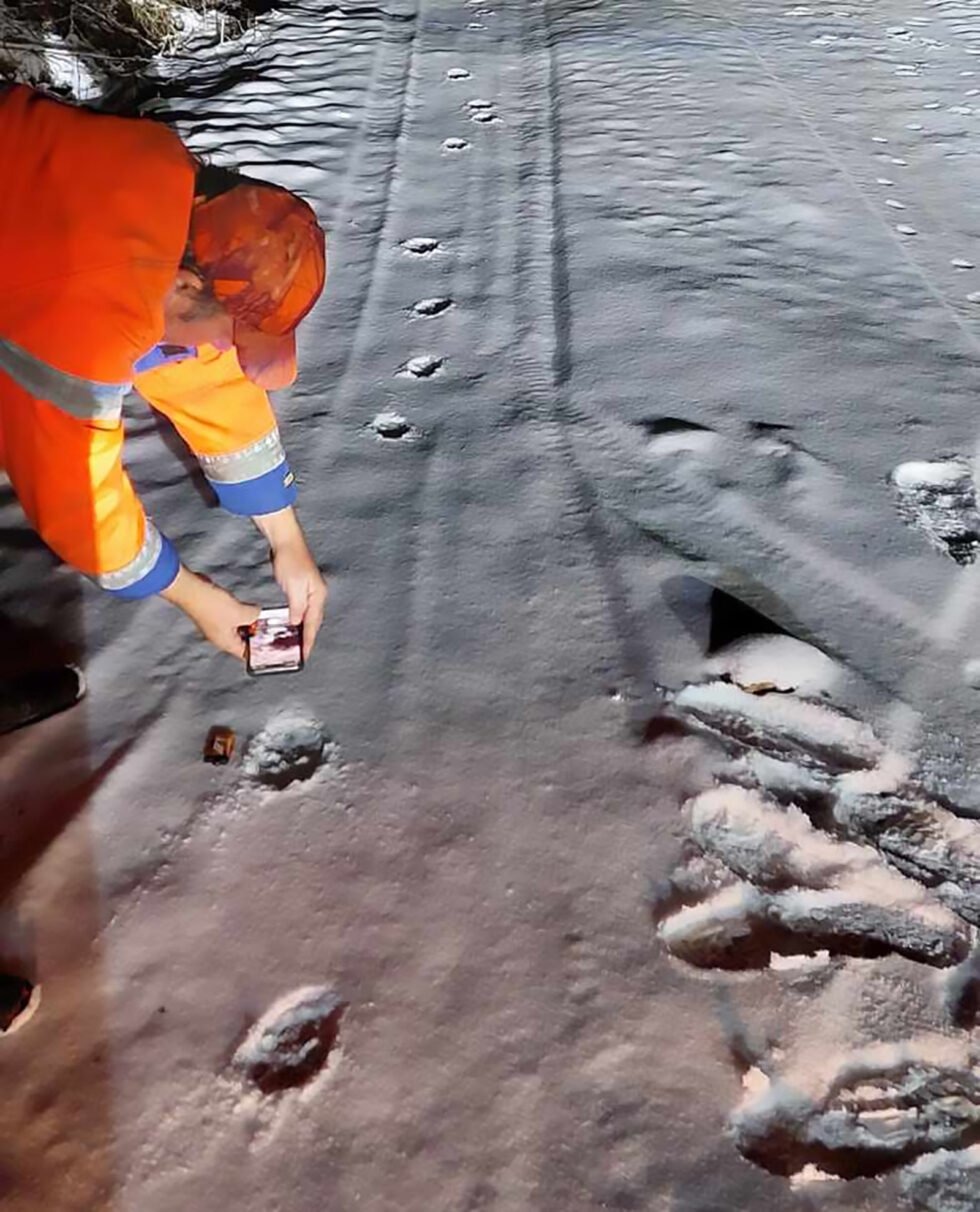 Kjetil Kjølseth fant sporene etter det han mener er ulv på gårdsplassen hjemme fredag kveld.