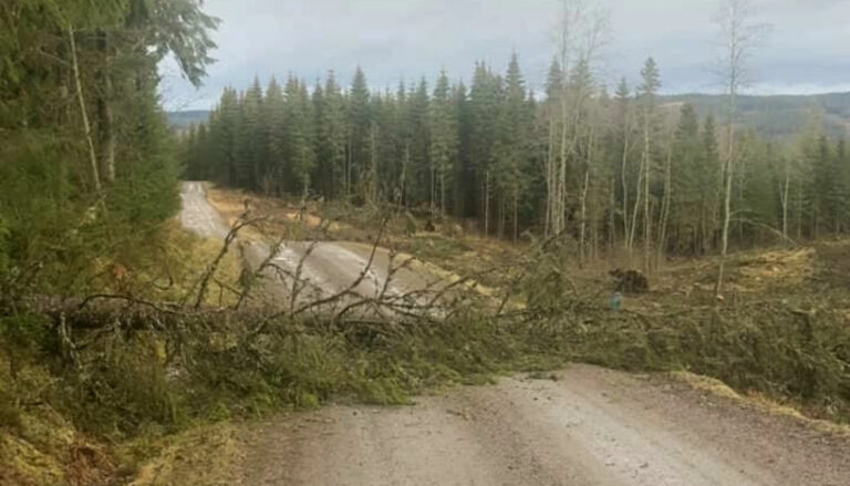 Meteorologisk institutt anbefaler å sikre løse gjenstander før vinden øker på onsdag.