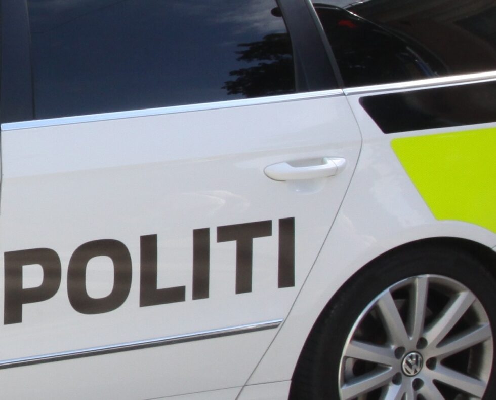 En elg ble torsdag kveld påkjørt av en personbil.