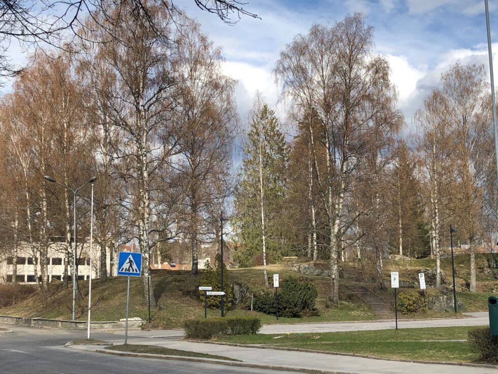 Onsdag ble det kjent at det ikke blir noe av planene om et hotell i byparken.