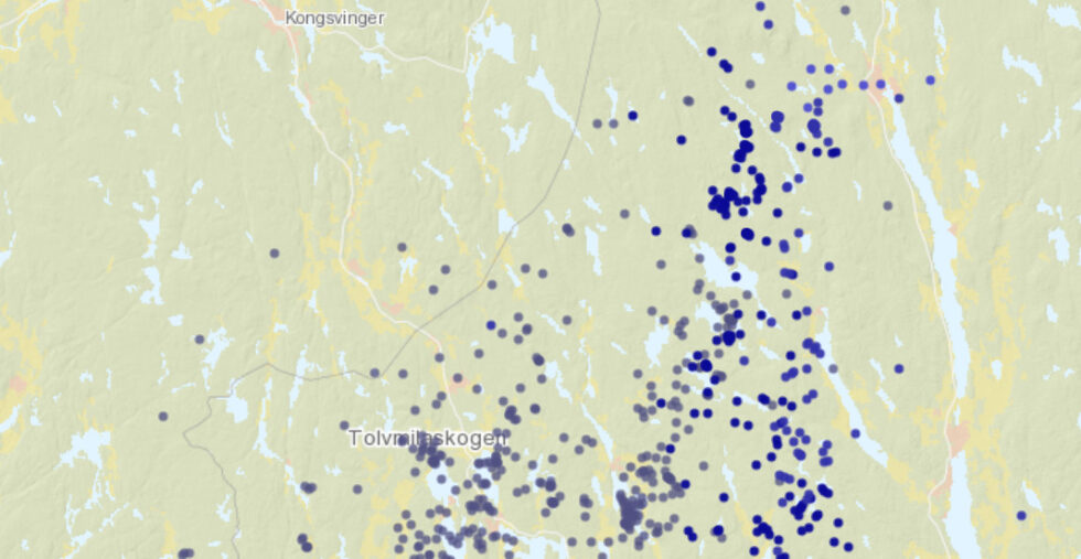 Det har vært mange lynnedslag i grensetraktene, søndag.
