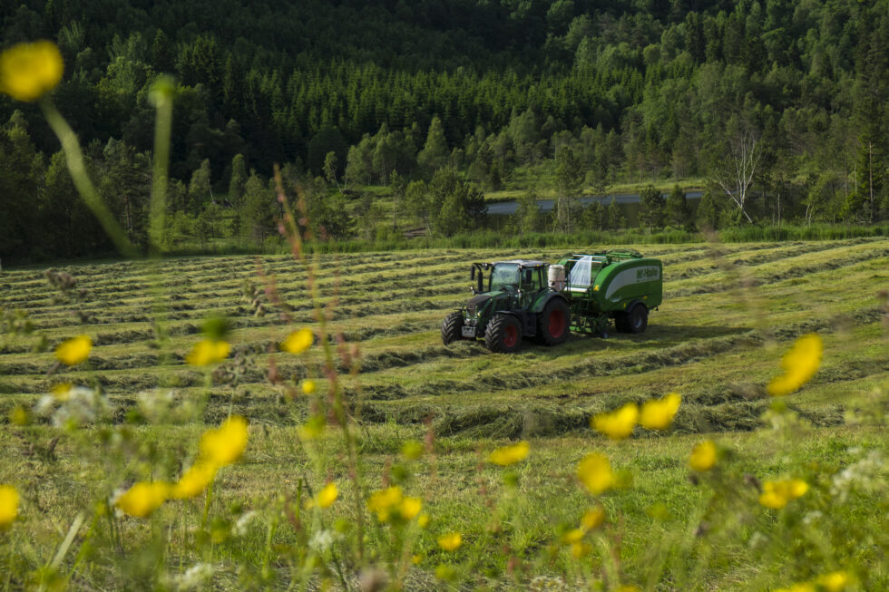 Bøndene har krevd 3,9 milliarder kroner i årets jordbruksoppgjør.