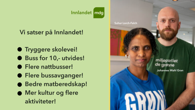 Suhur Lorch Falch og Johannes Wahl Gran er fylkestingrepresentanter for MDG Innlandet