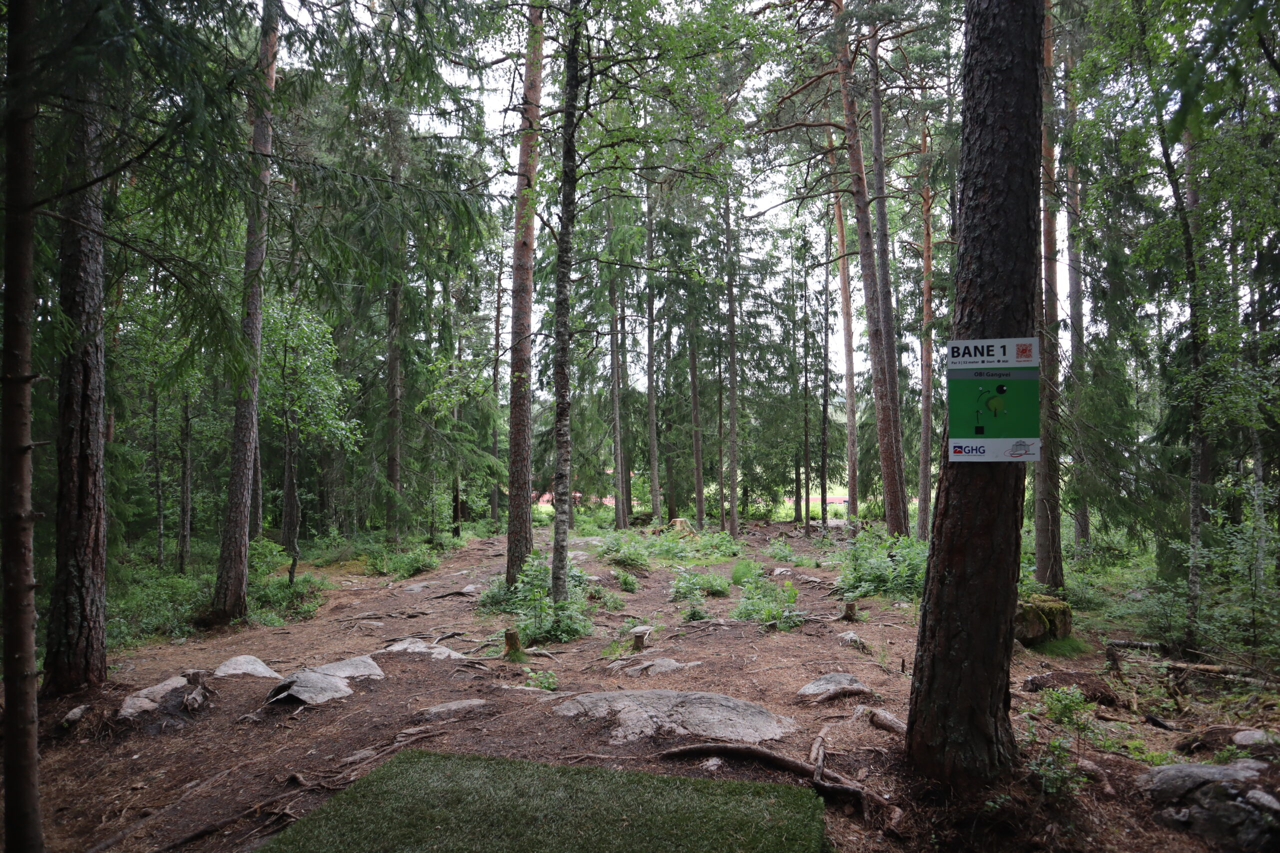 Skogsbaner er egentlig den morsomste banen &aring; spille p&aring;, forteller Martin Alfredsen, Thomas Michaelsen og Simen Slaastad i frisbeeklubben.