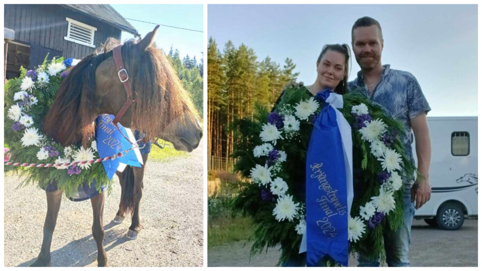 Fredag kveld kunne Vesle Vilje dra med seg både krans og 50.000 svenske kroner. Vesle Vilje (f.v.), Vilde Gulstad Jensen og Gudmund Arnason.