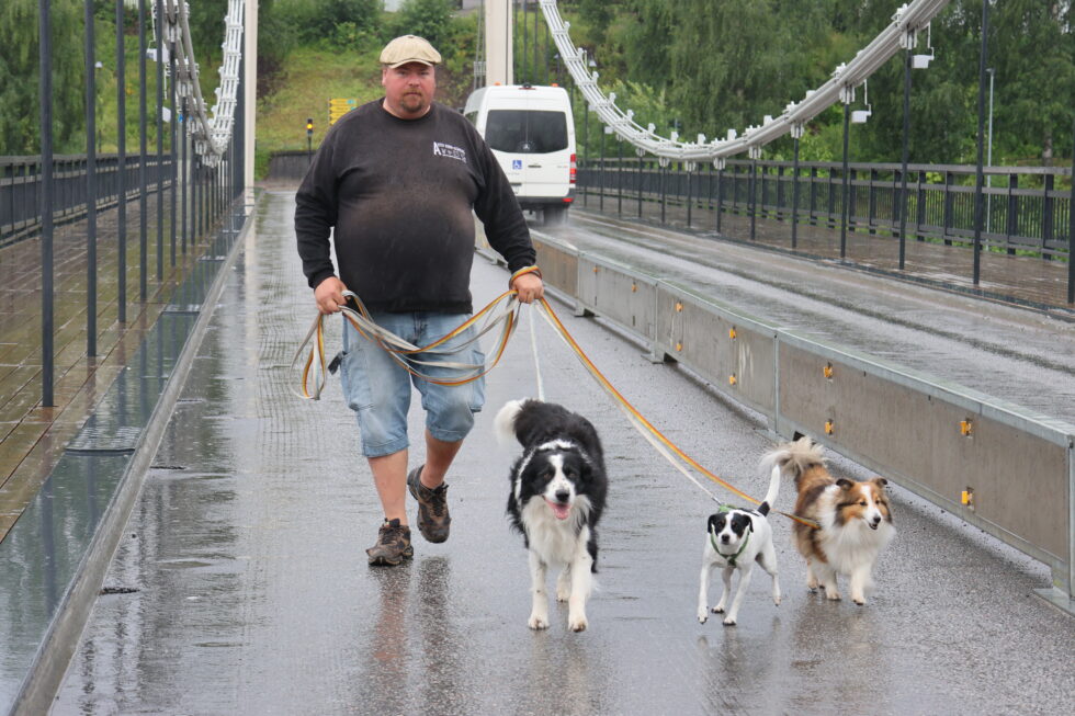 Jan Mohn Andreassen er eier og daglig leder i Aktiv hund Glåmdal, han skriver også en fast spalte om hunder og hundehold for Mitt Kongsvinger. Nå gir han sine råd til hundeiere som er ute på biltur med sine hunder i sommer.