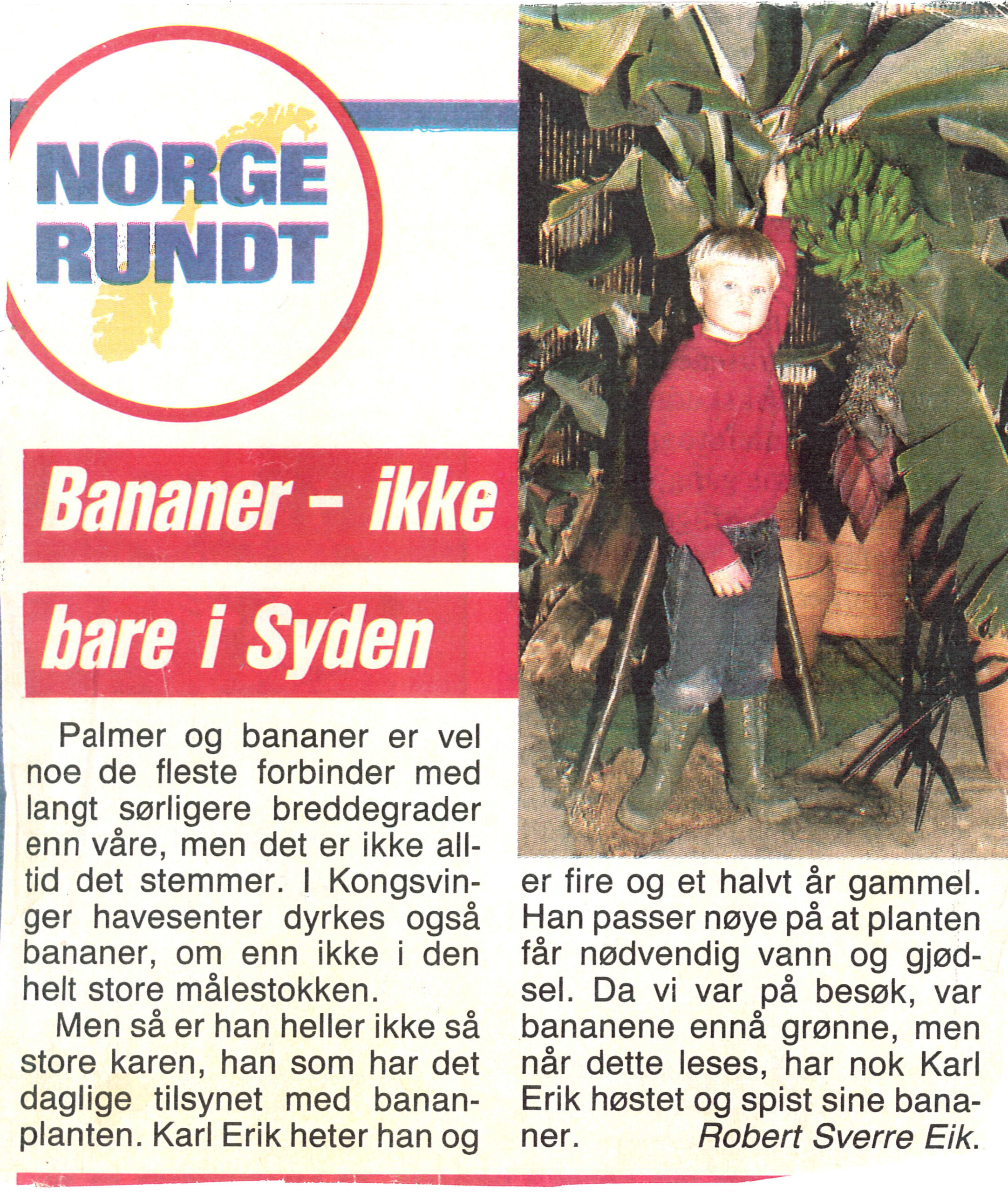 I 1985 skrev Se & Hør en sak om Karl Erik Rimfeldt, som passet på bananpalmen i Hagesenteret til familien.