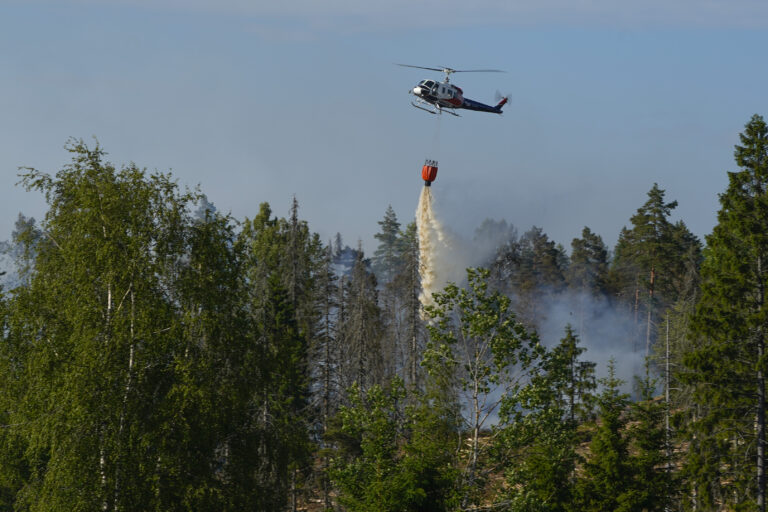 På samme tid i 2023 hadde det vært over 500 flere tilfeller av gress- og skogbrann. Illustrasjonsfoto: Lise Åserud / NTB
På samme tid i 2023 hadde det vært over 500 flere tilfeller av gress- og skogbrann.