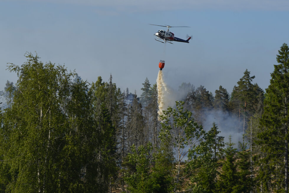 På samme tid i 2023 hadde det vært over 500 flere tilfeller av gress- og skogbrann. Illustrasjonsfoto: Lise Åserud / NTB
På samme tid i 2023 hadde det vært over 500 flere tilfeller av gress- og skogbrann.