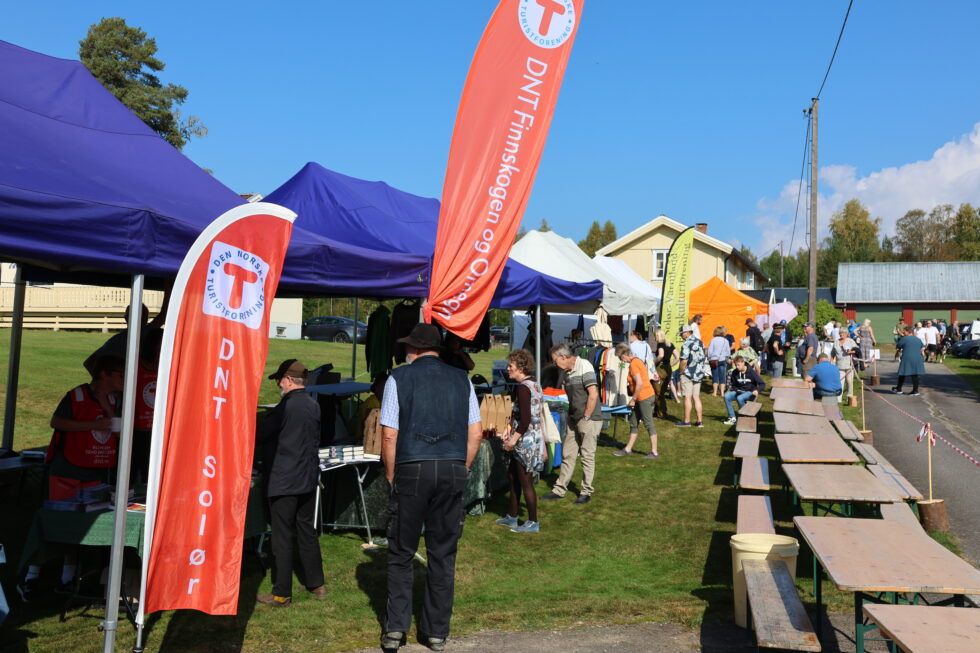 Festivalgata med salgs- og informasjonsboder var godt besøkt. .