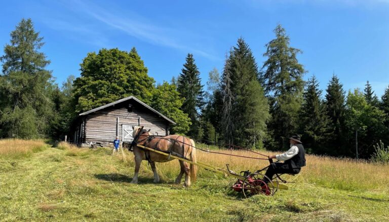 Kommunestyret var enige om å støtte Norsk Skogfinsk Museum, men var uenige om hvor mye som skulle gis. Finnegården Orala på Varaldskogen tilhører museet.