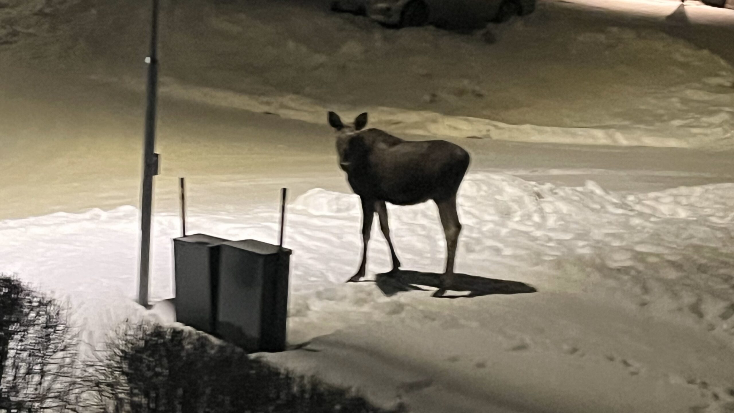 Etter endt måltid gikk veien videre i boligfeltet.