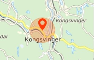En heldig vinner i Kongsvinger som hadde spilt Norsk TIppings lotteri Nabolaget ble fredag kveld en million rikere.