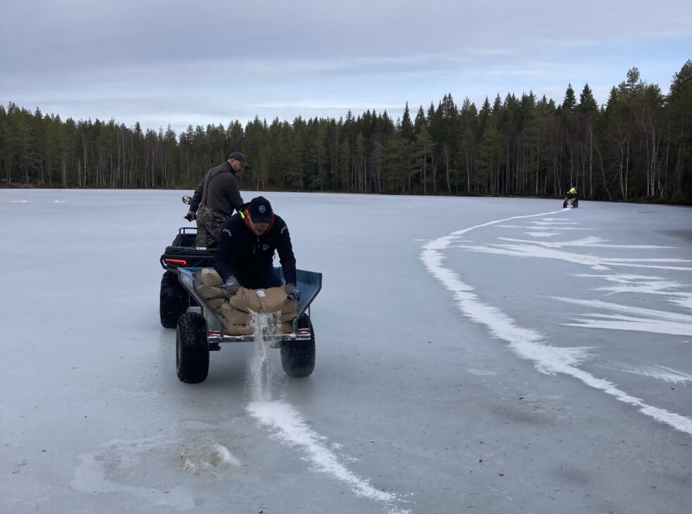 En dugnadsgjeng fra KJFF var for 14 dager siden ute og kalket to av fiskevannene på Varaldskogen. Tiltaket vil på sikt bedre vannkvalitenen og gi bedre leveforhold for insekter og fisk.
