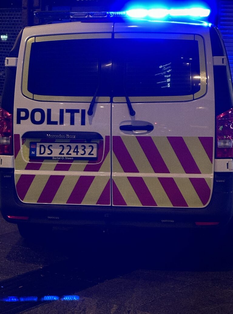 Politiet slet med å få kontroll på en bråkmaker utenfor Elg Elg. Han ble blant annet skutt med elektrosjokkvåpen, slått med batong og «pepret» med pepperspray.