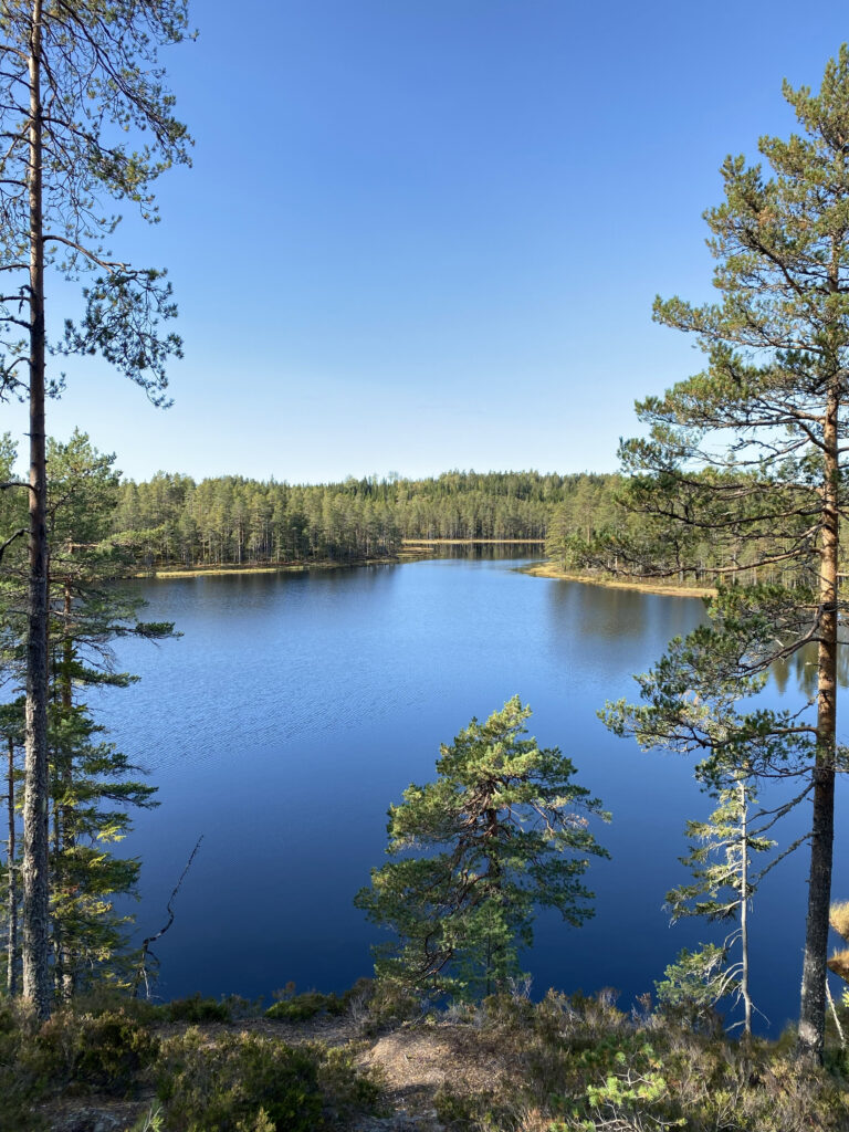 Fra gapahuken ved Arons hule med utsikt mot Stubbkjølen.