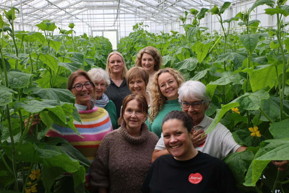 Denne gjengen var samlet i dag for å forberede seg på ny sesong. Foran Siri Holth. Andre rad (f.v.) Berit Liland og Grete Skarstad. Tredje rad (f.v.) Merete Aasvangen og Linda Skarstad Fjerde rad (f.v.) Kari Fulland, og Gerd Nordstrand. Bakerste rad (f.v) Thea Gundersen Tronbrøl og Anette Skarstad.
