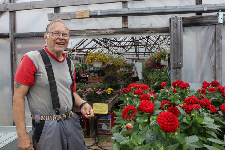 Roald Bibow tilbringer de fleste timene i døgnet på sin store lidenskap, Sommerblomster Roverud.