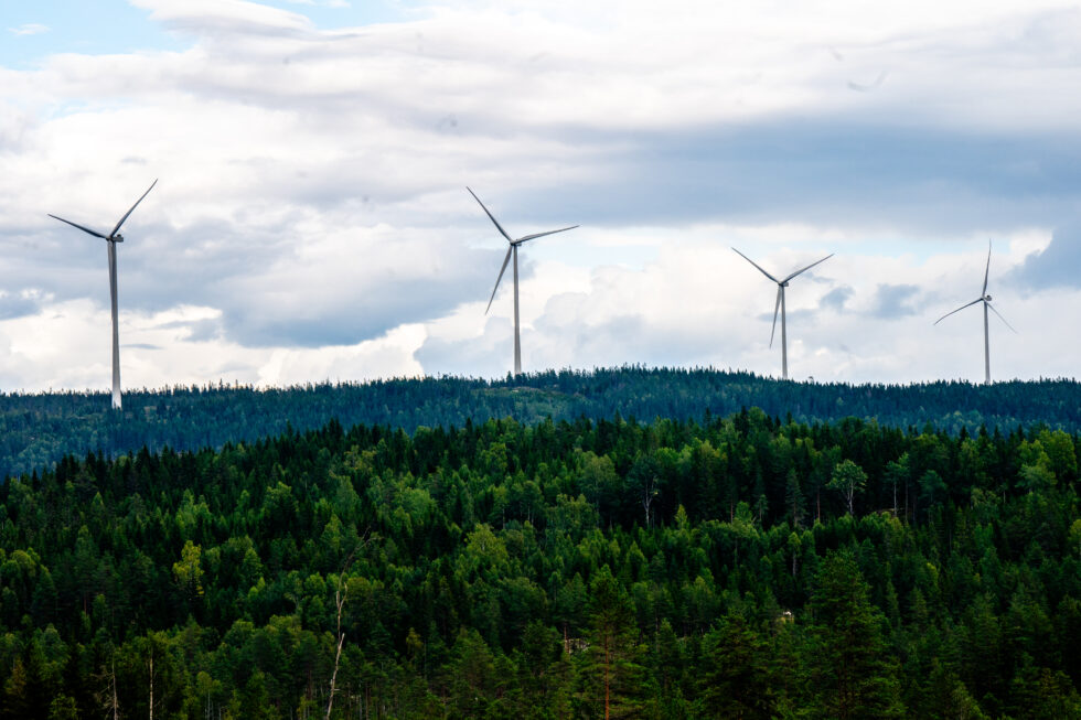 — Det er nå og på din vakt du er med på å si JA eller NEI til vindkraft i regionen, skriver Bente Rudberg i sitt debattinnlegg til lokalpolitikerne om energidokumentet for Kongsvingerregionen.