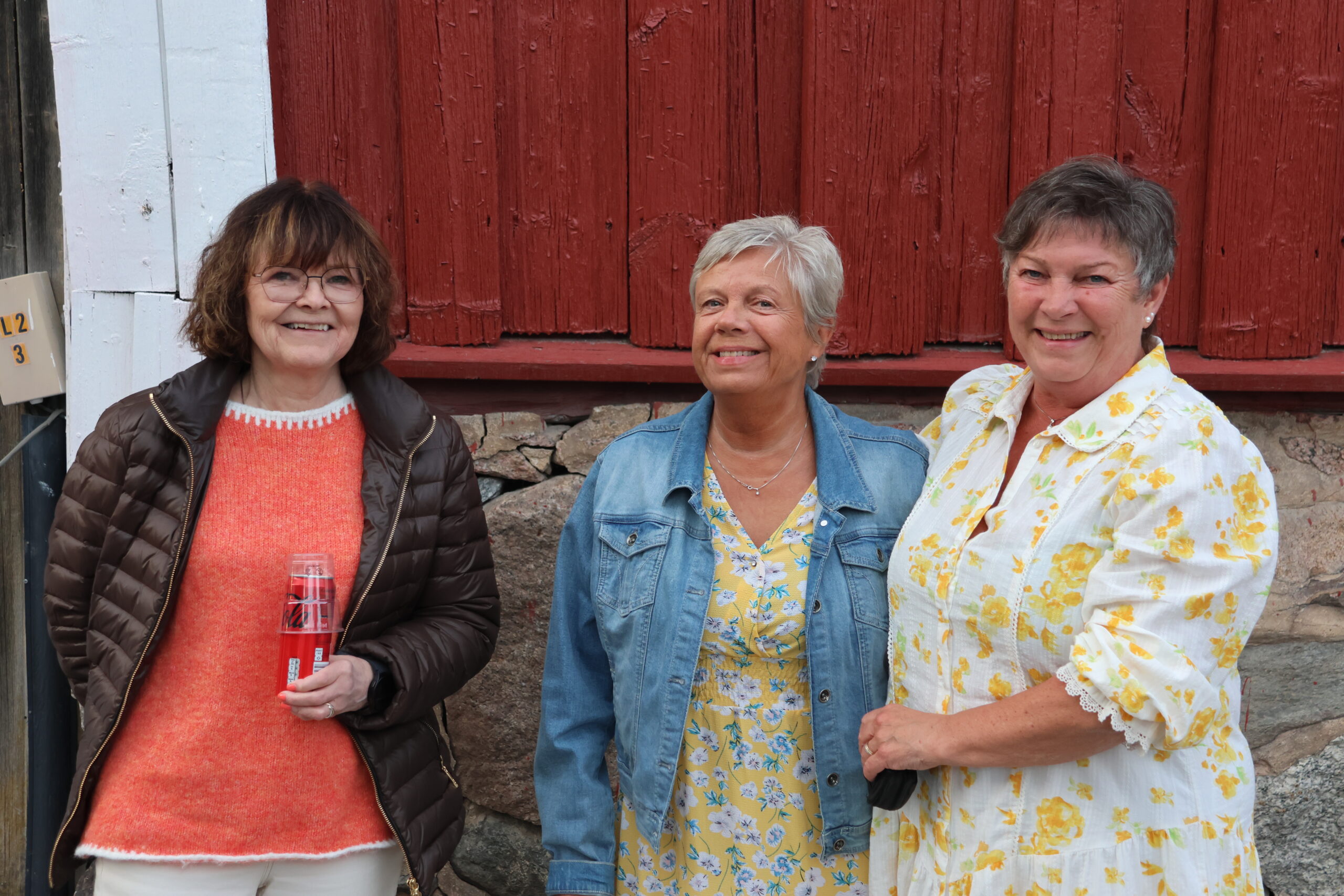 Trude Lidal, Ann Kristin Rønning og Liv Harbosen Linna hadde vært på Hitparaden flere ganger tidligere.