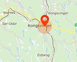 En heldig spiller i Kongsvinger vant fredag kveld en million kroner i Norsk Tippings spill Nabolaget.