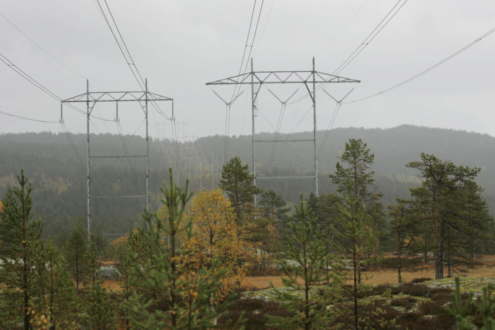 Kraftig vind har ført til trefall over høyspentlinjer flere steder, opplyser Elvia.