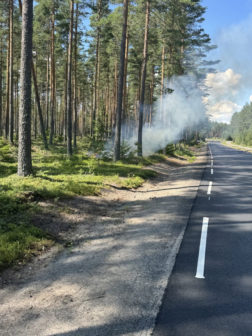 Det var røyk i skogsterrenget langs Gaustadvegen på Magnor lørdag ettermiddag.