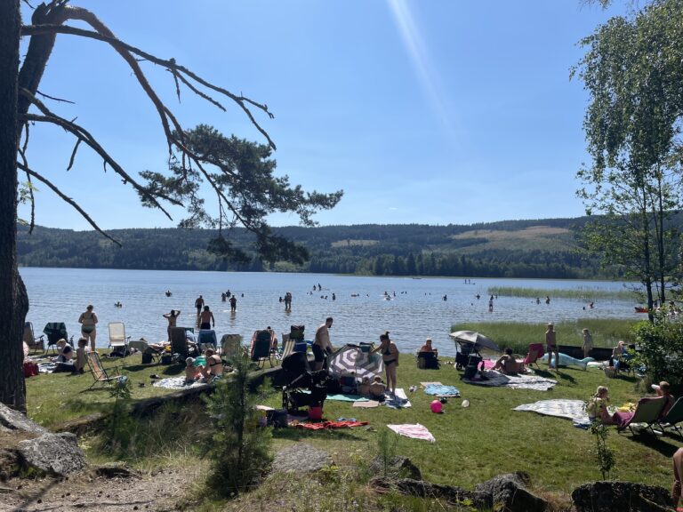 Folk nøt det varme været på de lokale badeplassene i juli. Her fra en varm sommerdag ved Sigernessjøen.