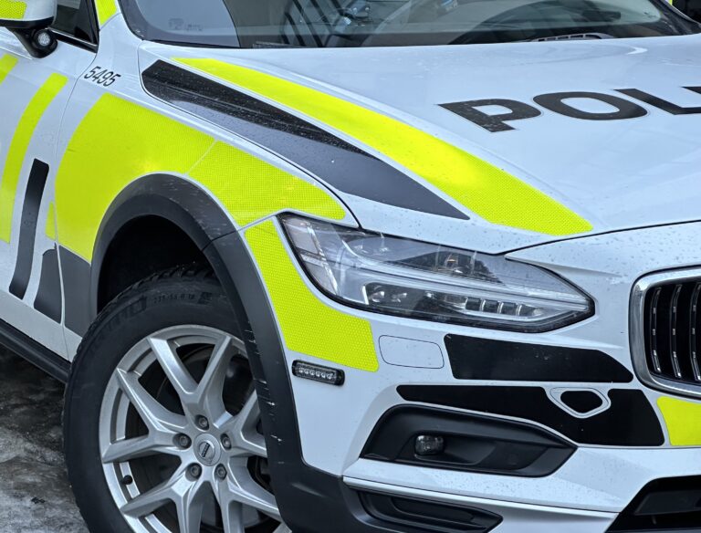 Tre personer er pågrepet etter et biltyveri i Kongsvinger natt til mandag.