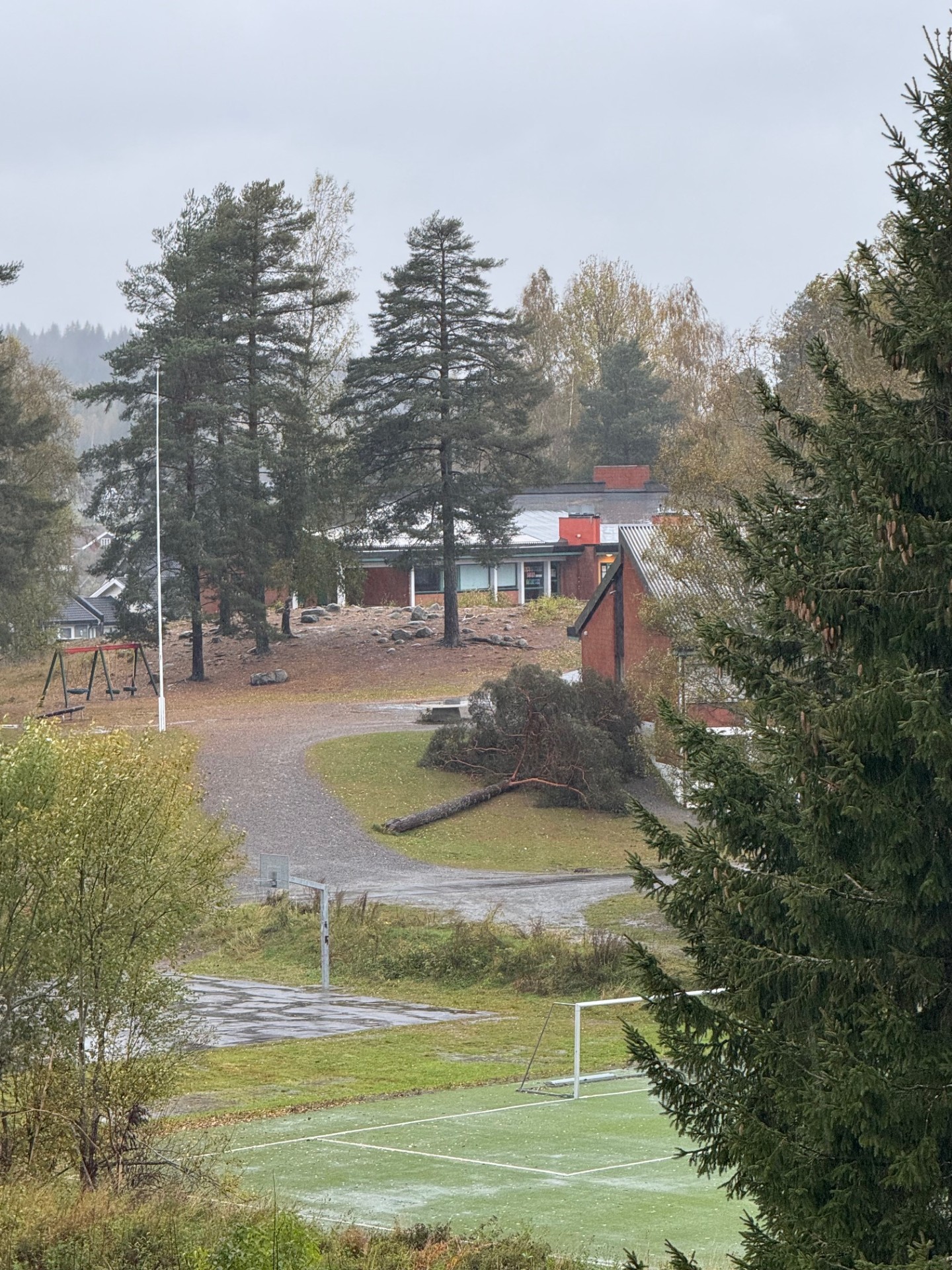 Et tre har blåst over ende som følge av uværet, rett ved Vennersberg skole.