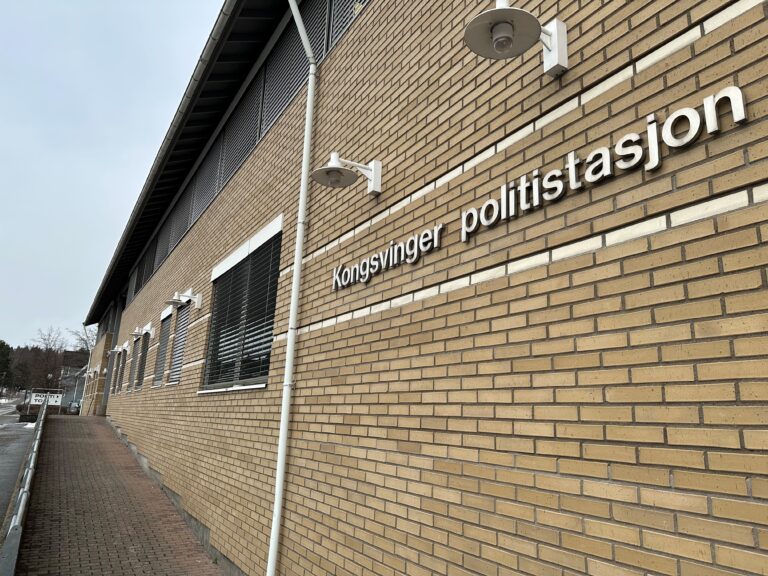 Politiet satte i gang etterforskning etter et hundeangrep i Kongsvinger. Nå er hundeeieren dømt i tingretten.