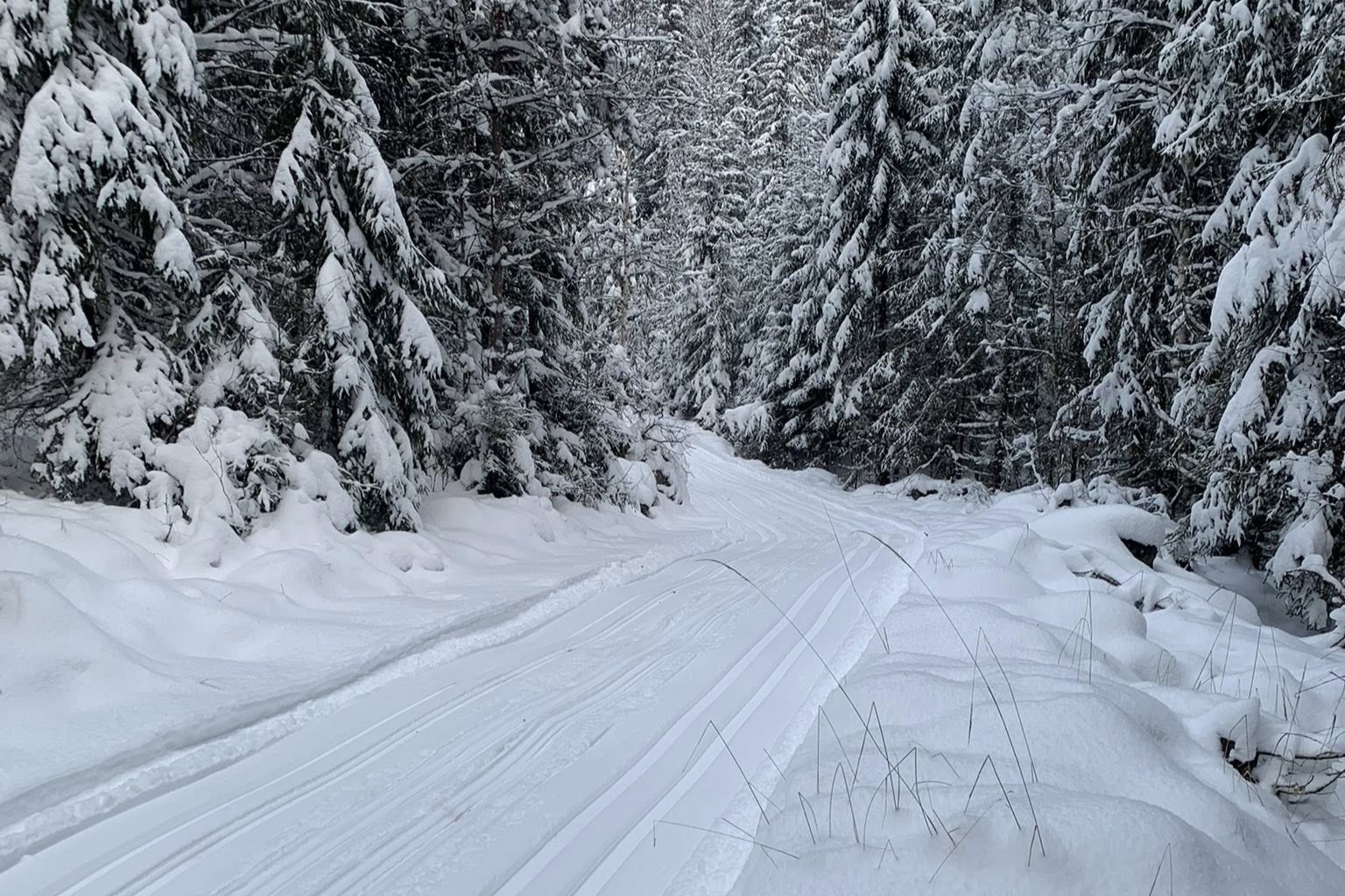 – Det er fullt mulig for den som vil ta seg en tur – men ikke med de beste skiene, er anbefalingen fra Eidskog løypekjørelag.