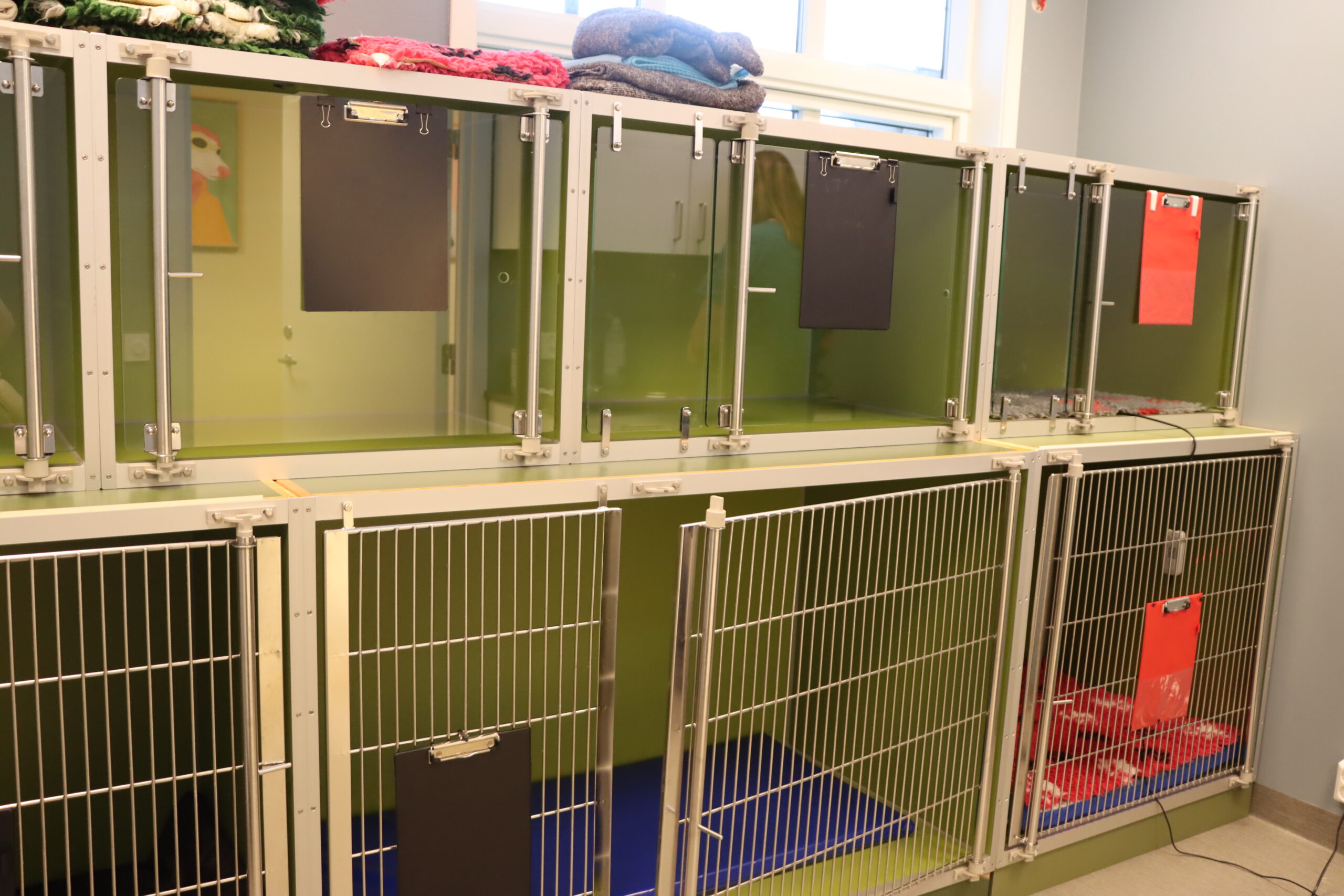 Nå kan flere dyr få plass på dyreklinikken.
