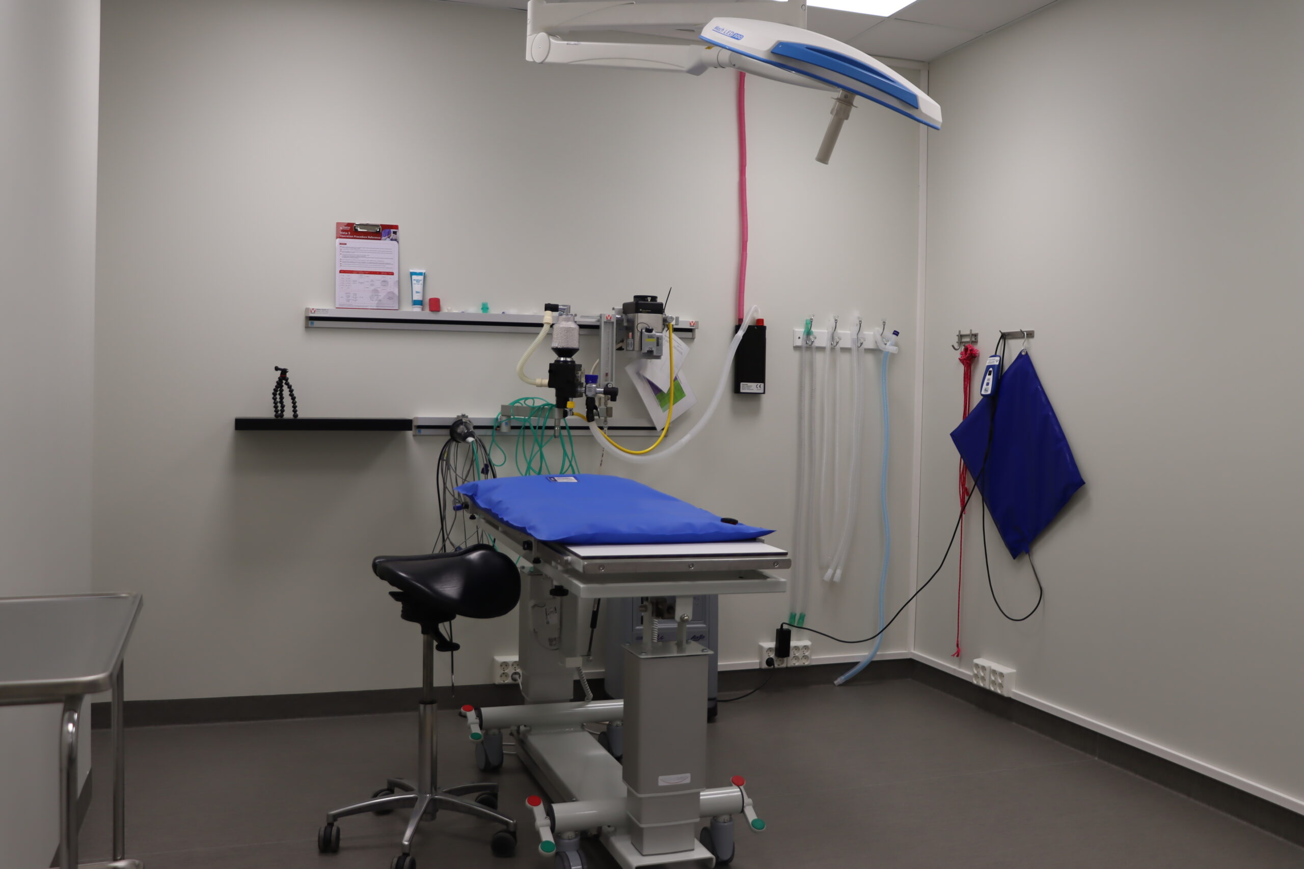 Med den nye utvidelsen har dyreklinikken nesten blitt dobbelt så stor.