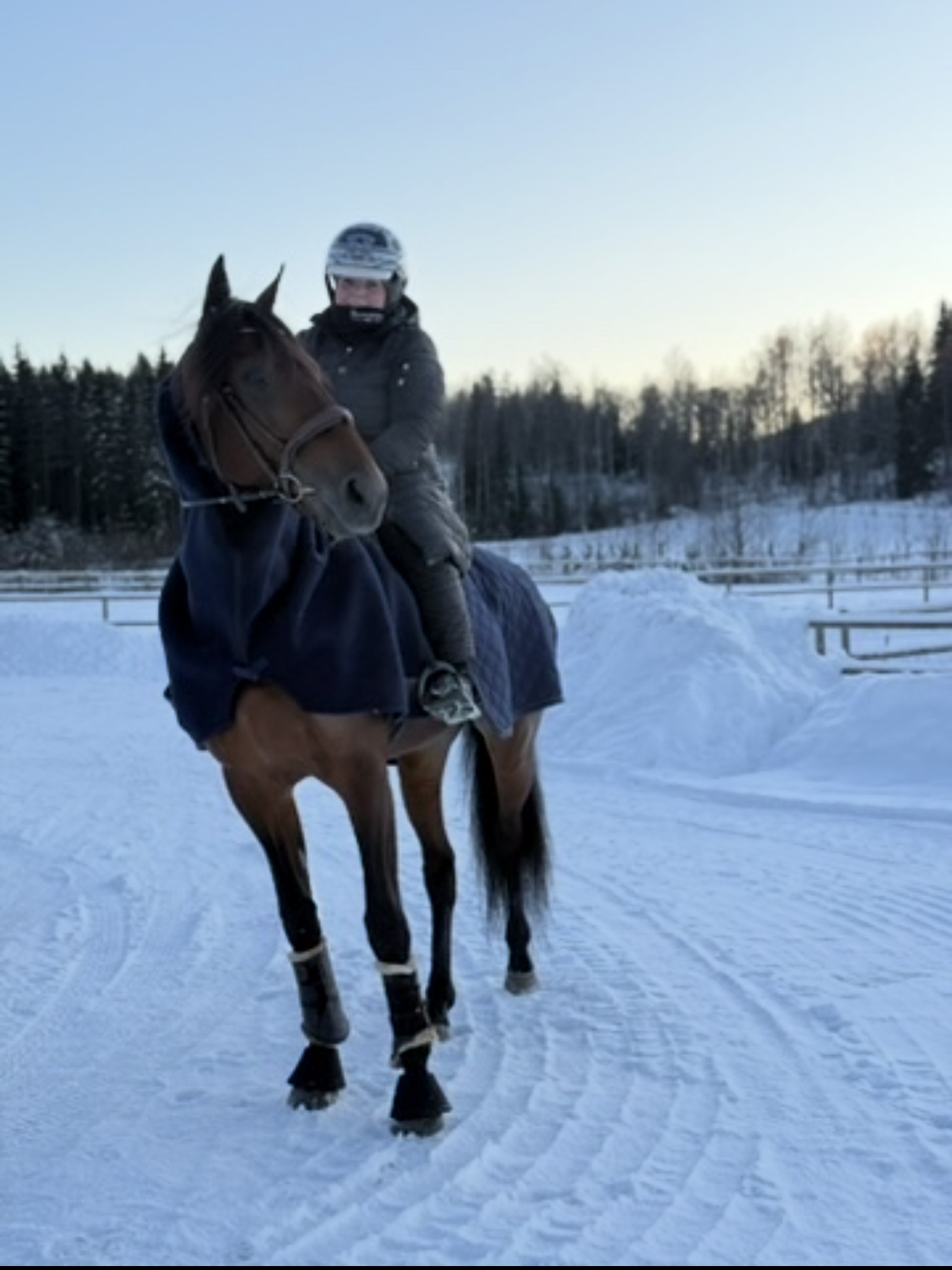 Kristine Wego på en av hestene på stallen.