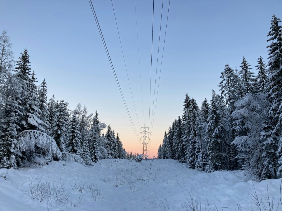 Den langvarig kuldeperioden gir skyhøye strømpriser. Tirsdag er prisen i Kongsvinger den dyreste på ett år.