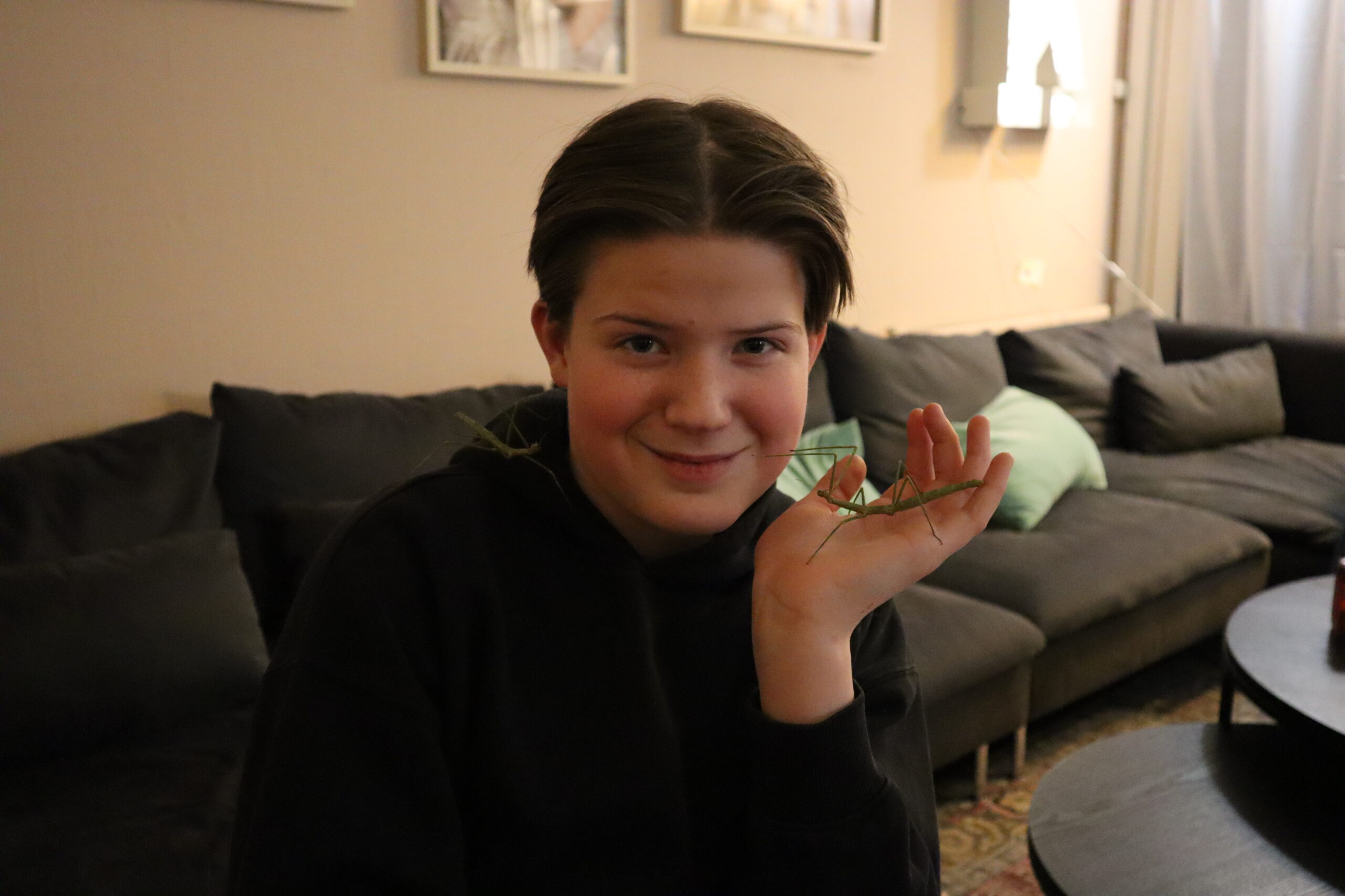 Kornelius sammen med et par av pinnedyrene sine: – De er ikke skumle eller slemme, altså, presiserte han når Mitt Kongsvinger var på besøk. I tillegg til pinnedyr har Kornelius også to katter han kan kose med.