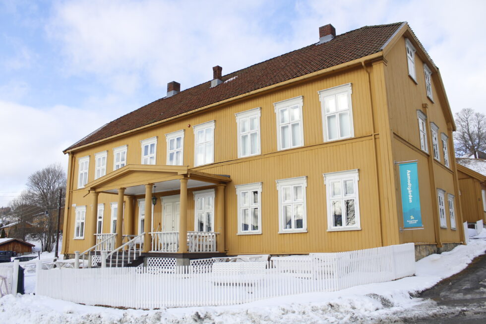 Kongsvinger kunstforenings mange populære kunstutstillinger bidro til gode besøkstall for Anno museum i Kongsvinger.